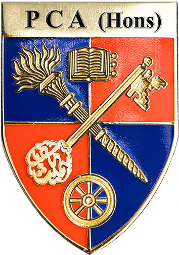 PCA Hons Gold Lapel Pin 3cm